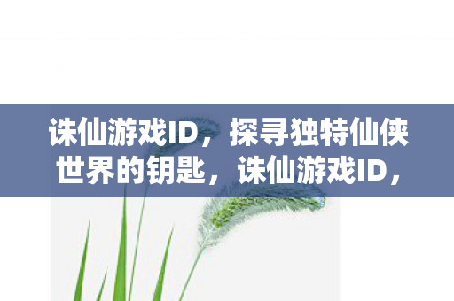 诛仙游戏ID，探寻独特仙侠世界的钥匙，诛仙游戏ID，解锁仙侠世界的神秘钥匙