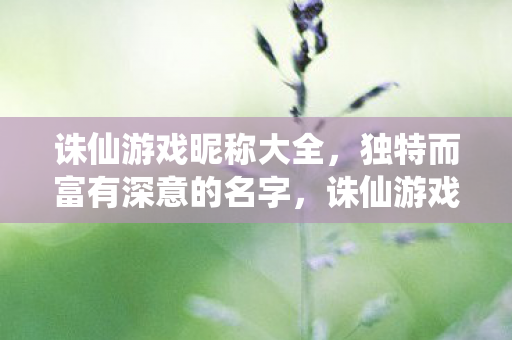 独特而富有深意的名字图片