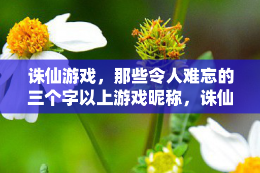 那些令人难忘的三个字以上游戏昵称大盘点图片