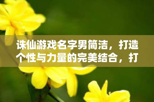 打造个性与力量的完美结合图片