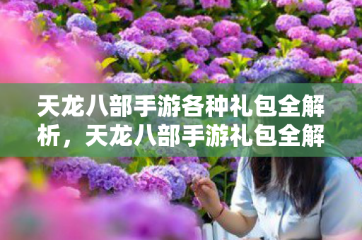 天龙八部手游各种礼包全解析图片