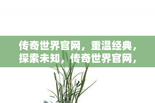 传奇世界官网图片