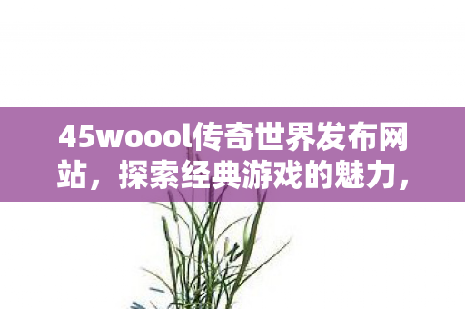 45woool传奇世界发布网站，探索经典游戏的魅力，探索经典游戏魅力，45woool传奇世界发布网站