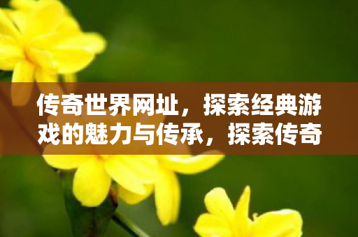 探索经典游戏的魅力与传承图片