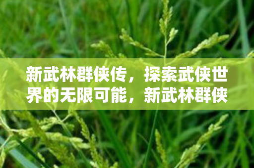新武林群侠传，探索武侠世界的无限可能，新武林群侠传，探索武侠世界的无限可能