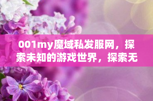001my魔域私发服网带你领略未知游戏世界图片