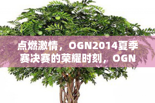 点燃激情,OGN2014夏季赛决赛的荣耀时刻,OGN2014夏季赛决赛,点燃激情,荣耀时刻到来 点燃激情,OGN2014夏季赛决赛的荣耀时刻,OGN2014夏季赛决赛,点燃激情,荣耀时刻到来