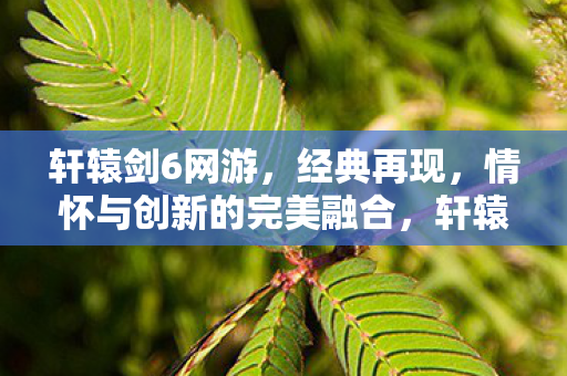 轩辕剑6网游,经典再现,情怀与创新的完美融合,轩辕剑6网游,经典再现,情怀与创新完美融合 轩辕剑6网游,经典再现,情怀与创新的完美融合,轩辕剑6网游,经典再现,情怀与创新完美融合