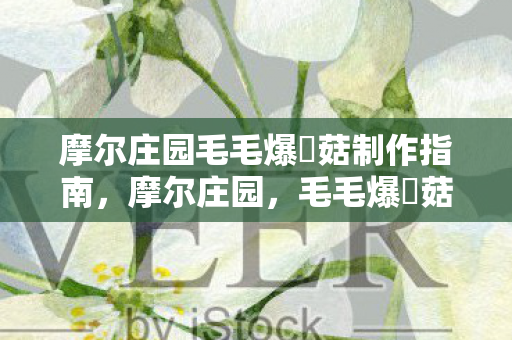 摩尔庄园毛毛爆囧菇制作指南图片