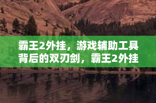霸王2外挂，游戏辅助工具背后的双刃剑，霸王2外挂，游戏辅助工具背后的双刃剑
