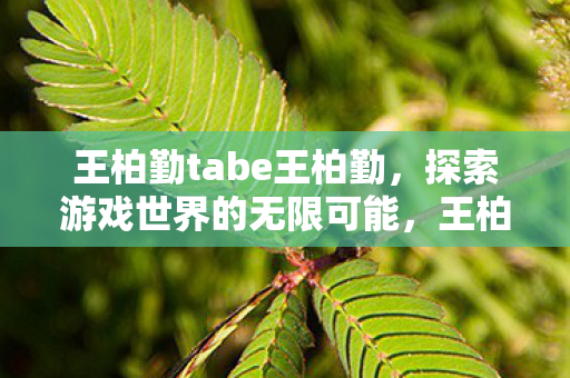 王柏勤tabe王柏勤,探索游戏世界的无限可能,王柏勤,探索游戏世界的无限可能 王柏勤tabe王柏勤,探索游戏世界的无限可能,王柏勤,探索游戏世界的无限可能