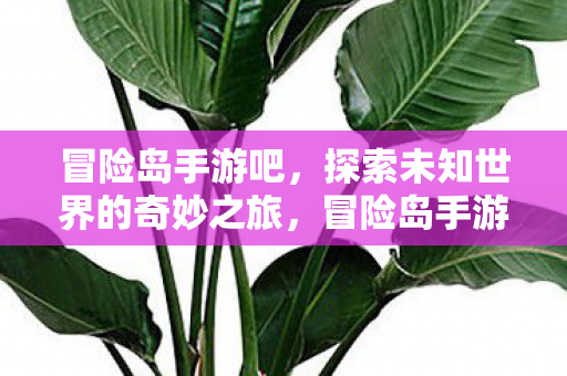 探索未知世界的奇妙之旅图片