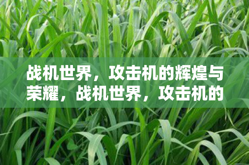 战机世界，攻击机的辉煌与荣耀，战机世界，攻击机的辉煌与荣耀