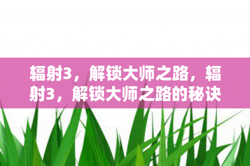 辐射3,解锁大师之路,辐射3,解锁大师之路的秘诀 辐射3,解锁大师之路,辐射3,解锁大师之路的秘诀