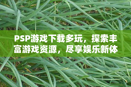 PSP游戏下载多玩，探索丰富游戏资源，尽享娱乐新体验，多玩PSP游戏下载，探索丰富资源，尽享娱乐新体验