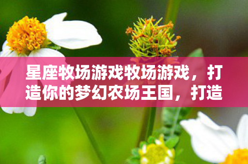 星座牧场游戏牧场游戏，打造你的梦幻农场王国，打造梦幻农场王国，星座牧场游戏牧场游戏