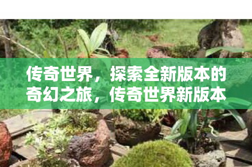 传奇世界，探索全新版本的奇幻之旅，传奇世界新版本，奇幻之旅再启航