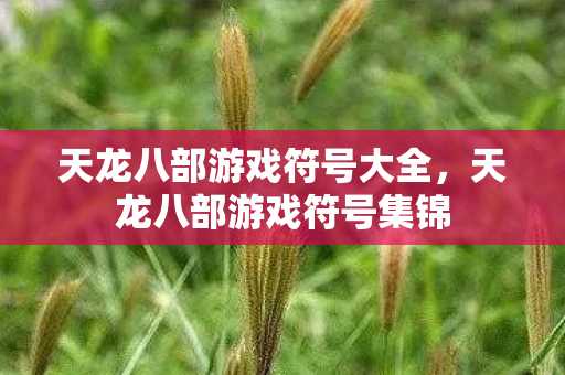 天龙八部游戏符号大全图片