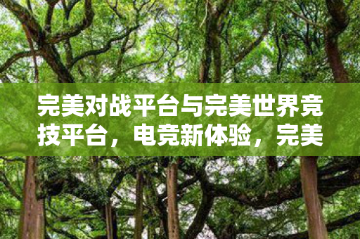 完美对战平台与完美世界竞技平台图片