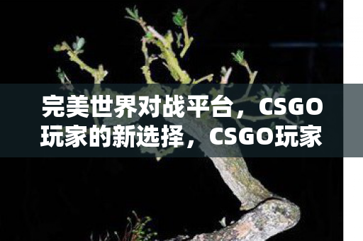 CSGO玩家的新选择图片