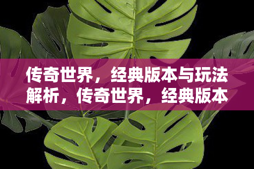 传奇世界,经典版本与玩法解析,传奇世界,经典版本与玩法全解析 传奇世界,经典版本与玩法解析,传奇世界,经典版本与玩法全解析