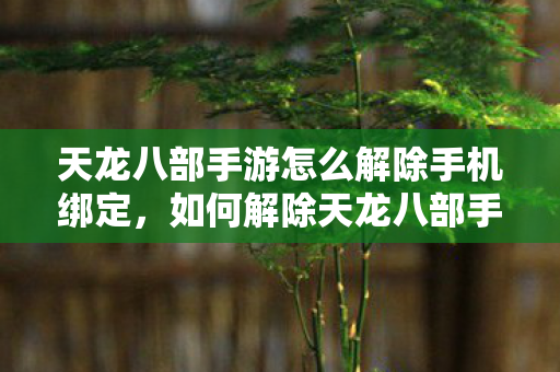 天龙八部手游怎么解除手机绑定图片