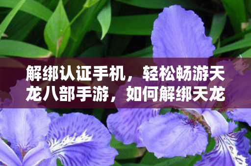 解绑认证手机，轻松畅游天龙八部手游，如何解绑天龙八部手游认证手机？