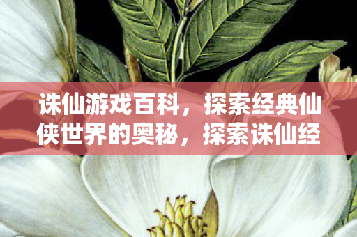 探索诛仙经典仙侠世界的奥秘图片