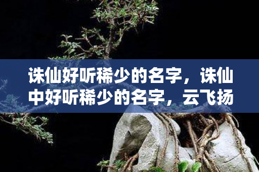 诛仙中好听稀少的名字图片