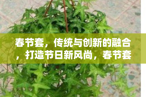 春节套，传统与创新的融合，打造节日新风尚，春节套，传统与创新的融合，引领节日新风尚