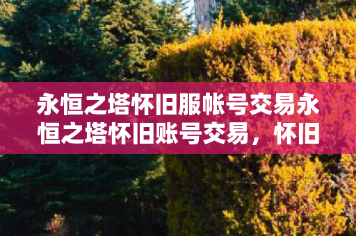 永恒之塔怀旧服帐号交易永恒之塔怀旧账号交易图片