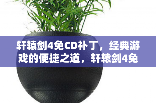 轩辕剑4免CD补丁,经典游戏的便捷之道,轩辕剑4免CD补丁,重温经典游戏的便捷之道 轩辕剑4免CD补丁,经典游戏的便捷之道,轩辕剑4免CD补丁,重温经典游戏的便捷之道