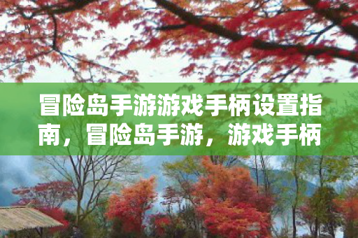 冒险岛手游游戏手柄设置指南图片
