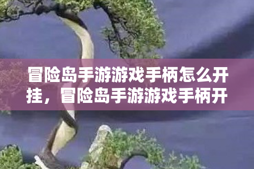 冒险岛手游游戏手柄开挂方法揭秘图片