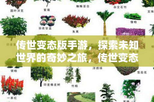 传世变态版手游，探索未知世界的奇妙之旅，传世变态版手游，探索未知世界的奇妙之旅