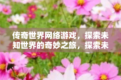 传奇世界网络游戏，探索未知世界的奇妙之旅，探索未知世界的奇妙之旅，传奇世界网络游戏的魅力