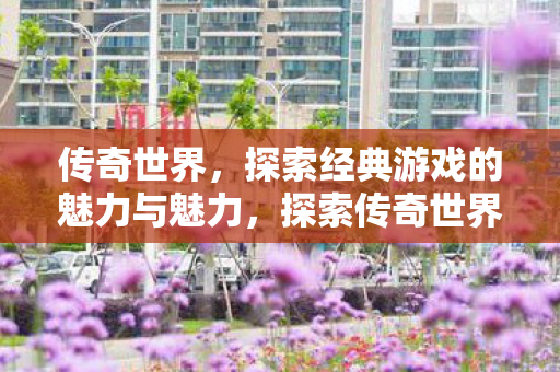 探索经典游戏的魅力与魅力图片