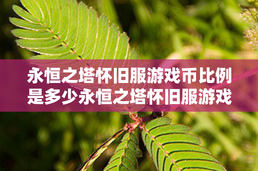 永恒之塔怀旧服游戏币比例是多少永恒之塔怀旧服游戏币比例图片