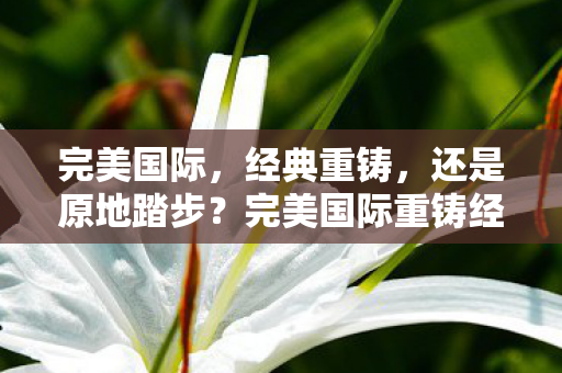 完美国际，经典重铸，还是原地踏步？完美国际重铸经典，还是原地踏步？