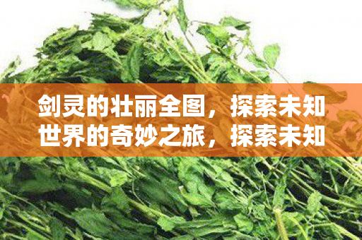 探索未知世界的奇妙之旅图片