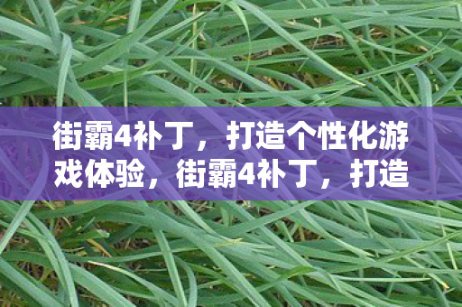 街霸4补丁，打造个性化游戏体验，街霸4补丁，打造个性化游戏体验