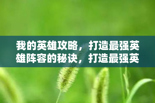 我的英雄攻略,打造最强英雄阵容的秘诀,打造最强英雄阵容的秘诀 我的英雄攻略,打造最强英雄阵容的秘诀,打造最强英雄阵容的秘诀