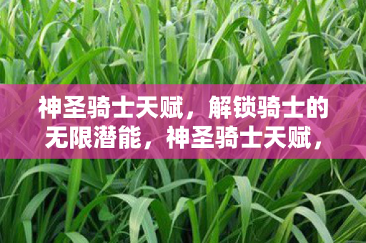 神圣骑士天赋,解锁骑士的无限潜能,神圣骑士天赋,解锁骑士的无限潜能 神圣骑士天赋,解锁骑士的无限潜能,神圣骑士天赋,解锁骑士的无限潜能