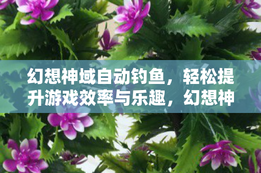 幻想神域自动钓鱼，轻松提升游戏效率与乐趣，幻想神域自动钓鱼，提升游戏效率与乐趣