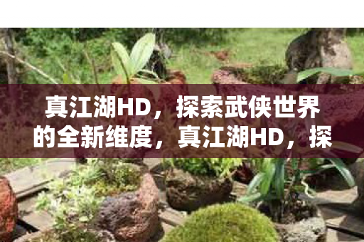 真江湖HD,探索武侠世界的全新维度,真江湖HD,探索武侠世界的全新维度 真江湖HD,探索武侠世界的全新维度,真江湖HD,探索武侠世界的全新维度