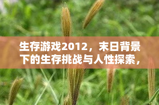 生存游戏2012，末日背景下的生存挑战与人性探索，末日生存挑战，2012年生存游戏的人性探索