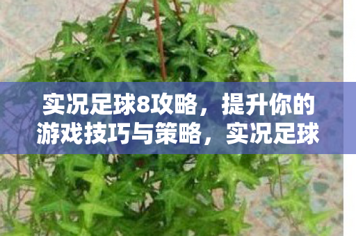 实况足球8攻略，提升你的游戏技巧与策略，实况足球8，提升游戏技巧与策略的全面攻略