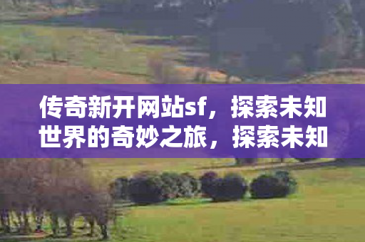 传奇新开网站sf等你来战图片