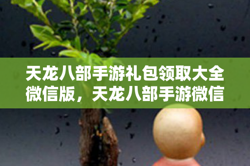 天龙八部手游微信版礼包领取全攻略图片