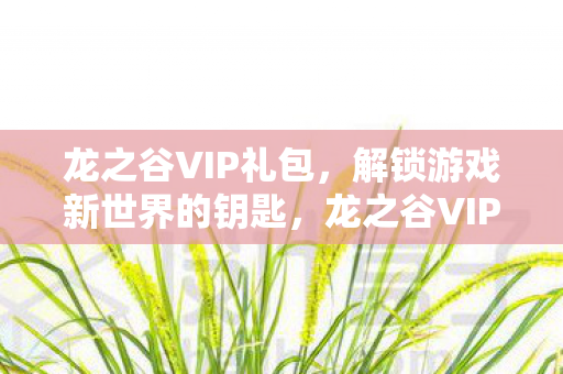 龙之谷VIP礼包,解锁游戏新世界的钥匙,龙之谷VIP礼包,解锁游戏新世界,畅享无限乐趣! 龙之谷VIP礼包,解锁游戏新世界的钥匙,龙之谷VIP礼包,解锁游戏新世界,畅享无限乐趣!